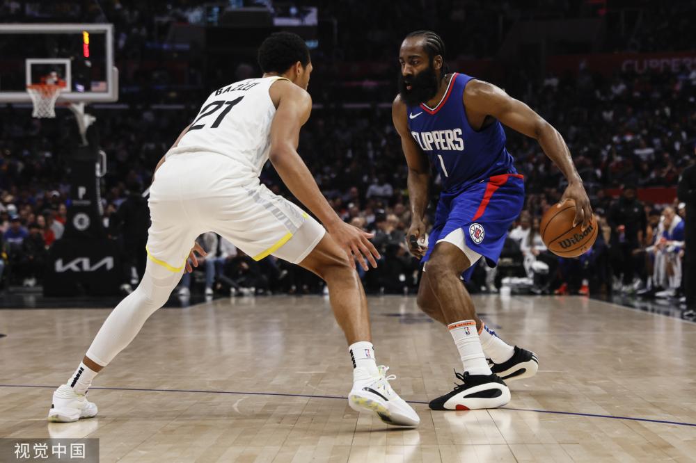 这位灰熊新 这位灰熊新