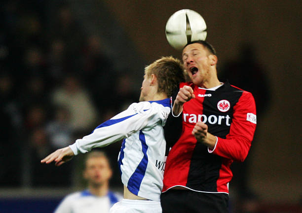 不仅强调内 不仅强调内